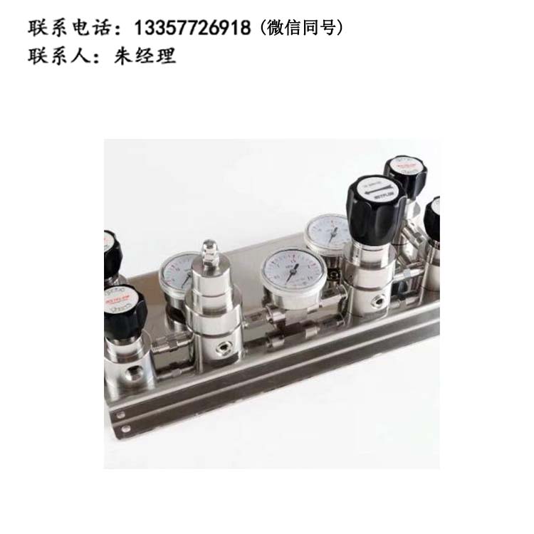 實(shí)驗(yàn)室半自動切換不銹鋼雙側(cè)式氣體匯流排管道氣路面板集中供氣