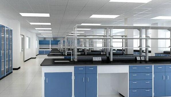 嘉興菲沙基因開工大吉