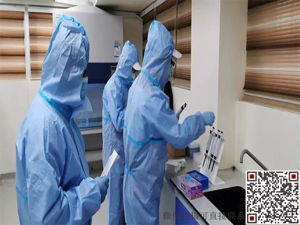 1675043935140620.jpg 5.16.5.jpg